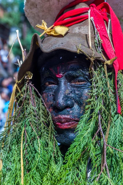 Gaijatra (ve Festival inekler çim ile giyinmiş adam) — Stok fotoğraf