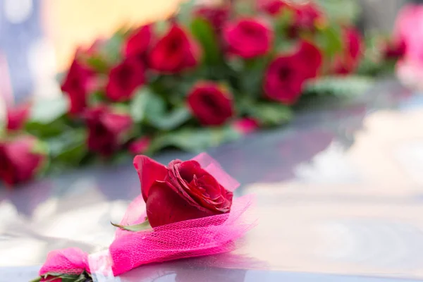 Viele rote Rosenblüten mit grünen Blättern — Stockfoto