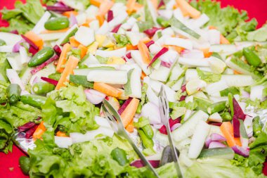 Lisan ile yeşil sebze salatası karışık