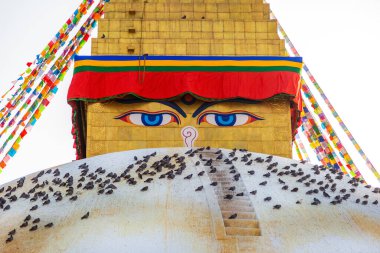 Katmandu 'da dua bayraklı kutsal Budist budist stupası. Dünyanın en ünlü Budist Stupa 'sı