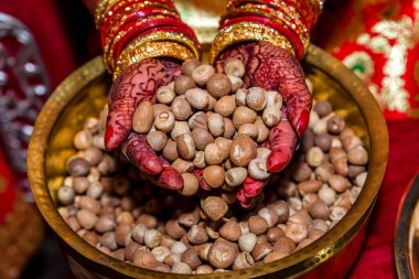 Renkli Mehendi 'li gelin elleri bir avuç Betel fındığı, Betel fındığı tutuyor. Supari.