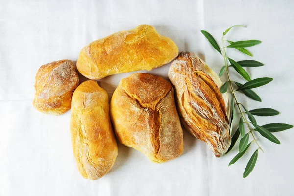 Pão caseiro e um ramo de oliveira — Fotografia de Stock