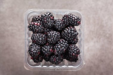 taze olgun böğürtlen gri plastik kaplar içinde