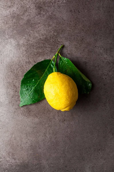 Свежий большой натуральный лимон с листьями — стоковое фото