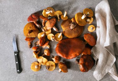 Temizlik orman mantar bir gri taş tablo, bıçak ve napk