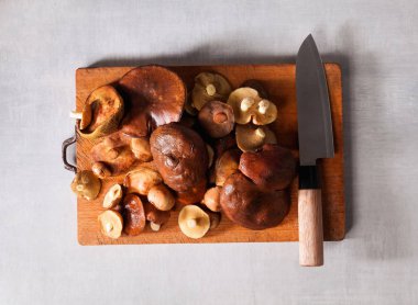 mantar ve Şef bıçak kesme tahtası üzerinde