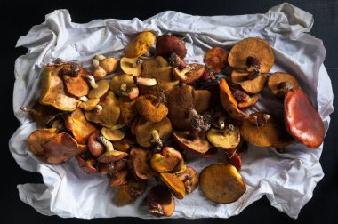 taze mantar porcini yığını