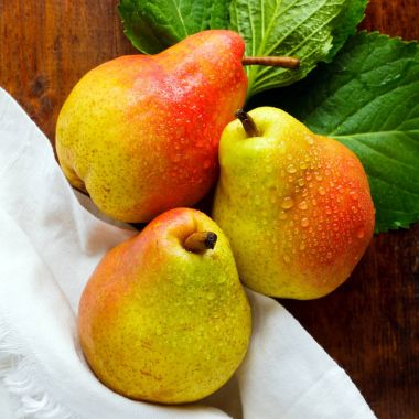 ıslak armut. güneşli yaz