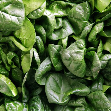 taze ıspanak yaprakları