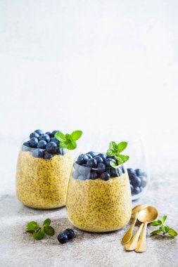 Puding Karpuzu yaban mersini ve min Chia tohum ve mango püresi