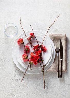 Çiçek açan dallarla dolu bir bahar masası. Boş tabaklar. Reklamcılık. menü