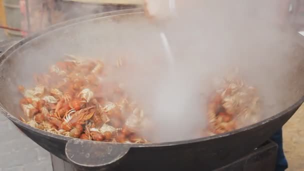 Homary w wielki Kocioł do gotowania. Gotowania proces morze na festiwalu ulicy żywności. Raki w dużym garnku. Szef kuchni przygotowuje homary w duży wok, z bliska. — Wideo stockowe