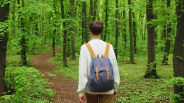 Wanderin mit Rucksack spaziert im Wald. Reisekonzept. Montagevideo. — Stockvideo