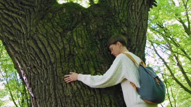 Ragazza abbraccia il grande albero nella foresta, l'amore per la natura . — Video Stock