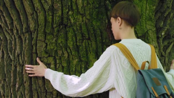 女の子は、森林、自然の愛に大きな木を抱擁します。. — ストック動画
