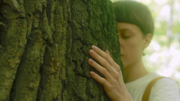 Девушка обнимает большое дерево в лесу, любит природу. Женщина трогает кору, закрывай. . — стоковое видео