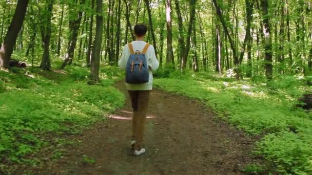 Femme randonneuse avec sac à dos marchant dans la forêt. Concept de voyage . — Video