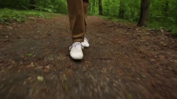 Pieds marchant dans la forêt. Voyageurs jambes rapprochées . — Video