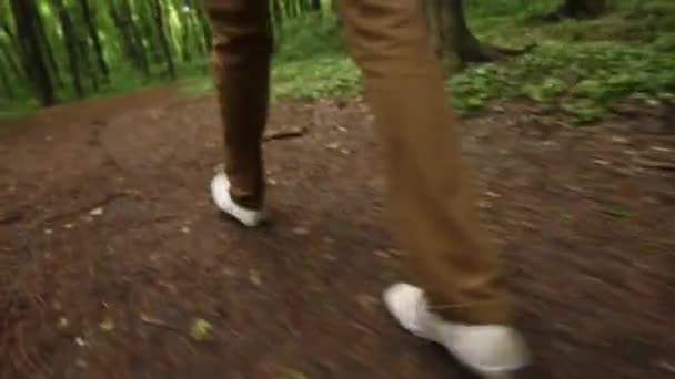 Ormanda yürüyüş ayak. Yolcuları bacaklar yakın çekim. — Stok video