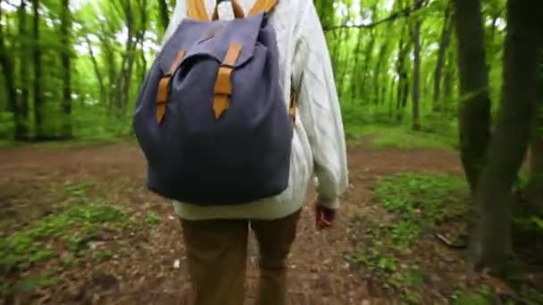 Wanderer mit Rucksack im Wald unterwegs. Reisekonzept. — Stockvideo