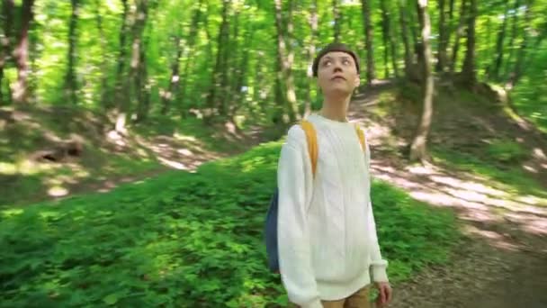 徒步旅行的女孩带着背包走在森林里。旅游理念. — 图库视频影像