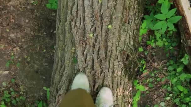 Frauenbeine, die auf dem Holzstamm im Wald spazieren gehen. Standpunkt. — Stockvideo