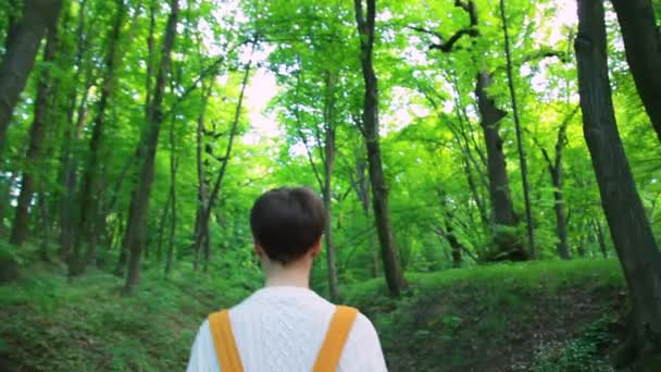Donna escursionista con zaino che cammina nella foresta. Concetto di viaggio . — Video Stock