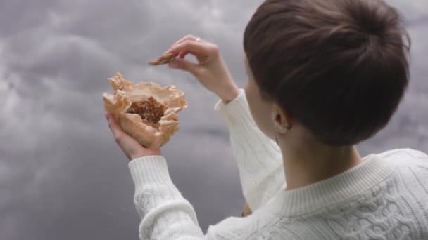 Meisje zittend op de kust van lake en het eten van cookies. Montage video. — Stockvideo