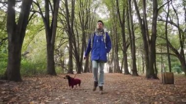 Parkta köpeği olan bir kadın. Sonbahar ormanlarında koşan şirin köpek yavrusu teriyeri..