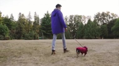 Parkta köpeği olan bir kadın. Sonbahar parkında koşan şirin köpek yavrusu teriyeri..