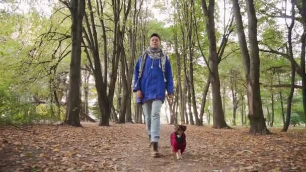 Женщина гуляет с собакой в парке. Милый щеночек-терьер бегает по осеннему парку. . — стоковое видео