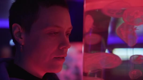 Femme observant de près des méduses exotiques dans un aquarium. Méduses de lune, Aurita Aurelia ou gelée aux soucoupes . — Video