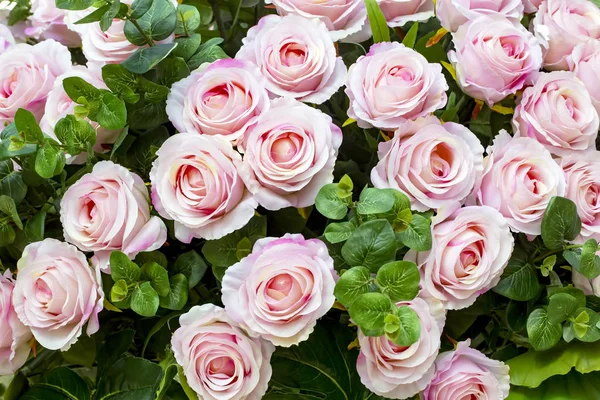 Bouquet Rose Flowers Wedding Concept —  Fotos de Stock