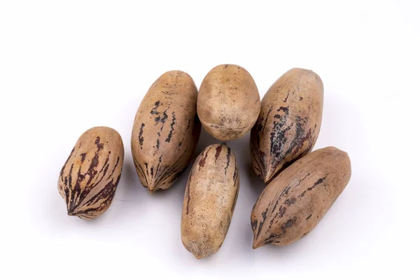 Pecan Nuts White Background — Stock Photo, Image