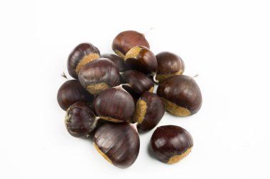 beyaz zemin üzerinde kestane