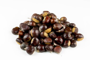 beyaz zemin üzerinde kestane