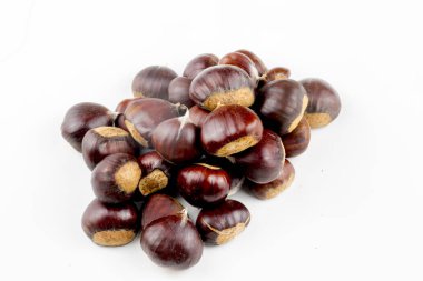 beyaz zemin üzerinde kestane