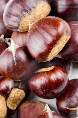 beyaz zemin üzerinde kestane