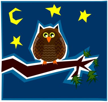 owl bird sitting on the branch at night time