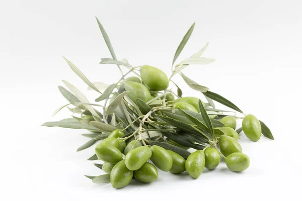 Little Branch Olives Isolated White Background — Foto de Stock