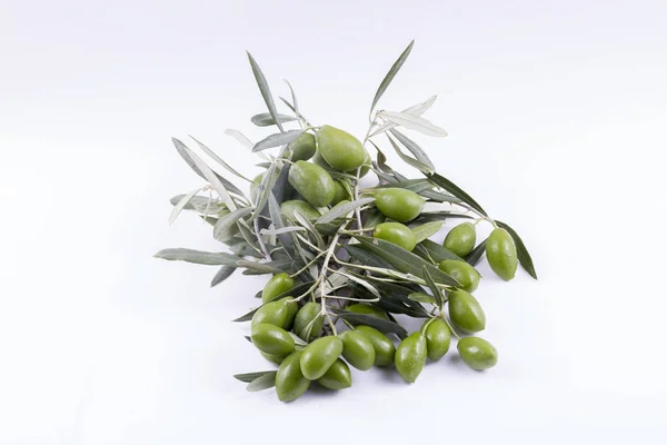 Little Branch Olives Isolated White Background — Foto Stock