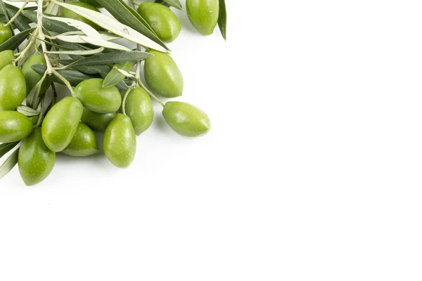 Die Grüne Olive Auf Dem Weißen Hintergrund — Stockfoto