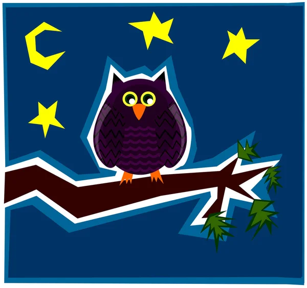 Owl Bird Sitting Branch Night Time — Stockfoto