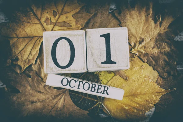 Wooden Calendar Autumn Leaves Background Date October 1St — Stock Photo, Image