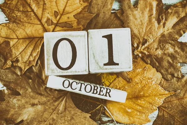 Holzkalender Auf Herbstblättern Hintergrund Mit Datum Oktober Der — Stockfoto