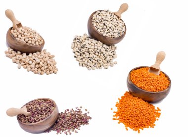 set of different types of legumes on white background