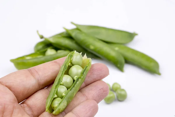 白い背景の上のエンドウ豆野菜 — ストック写真