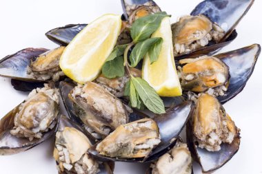 Limonlu taze istiridye ve beyaz arka planda sarımsak.