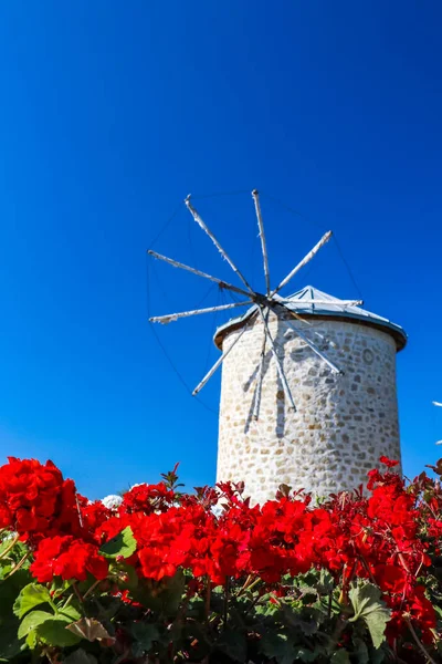 Windmill Old Town Flowers Garden — Fotografia de Stock