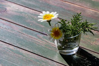 beautiful flowers in a glass vase on wooden background